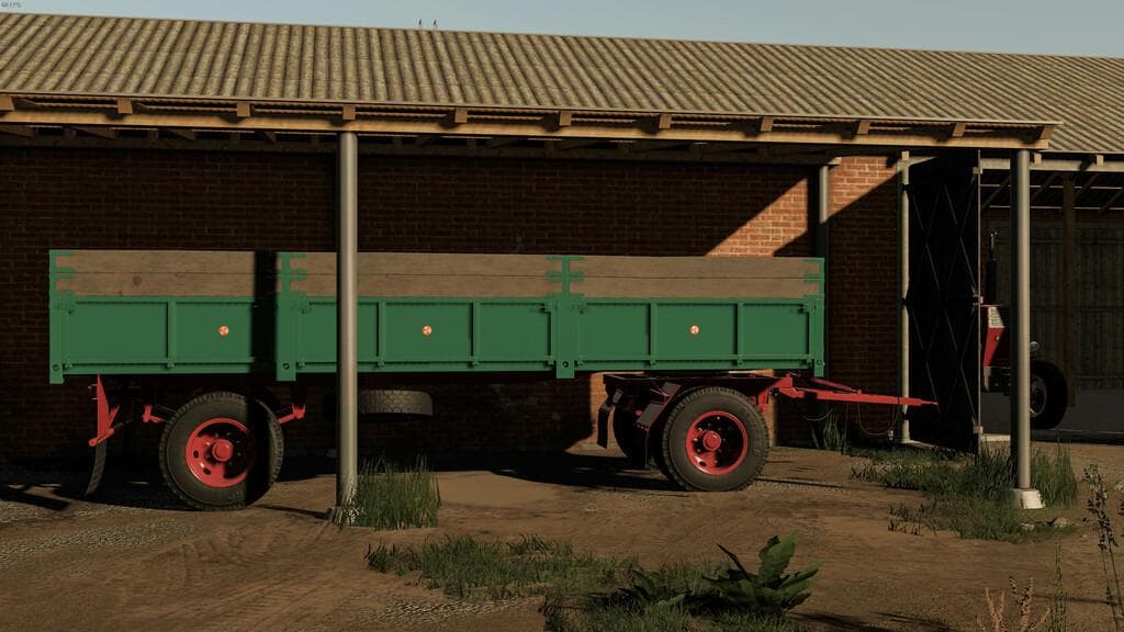 LIZARD D616
