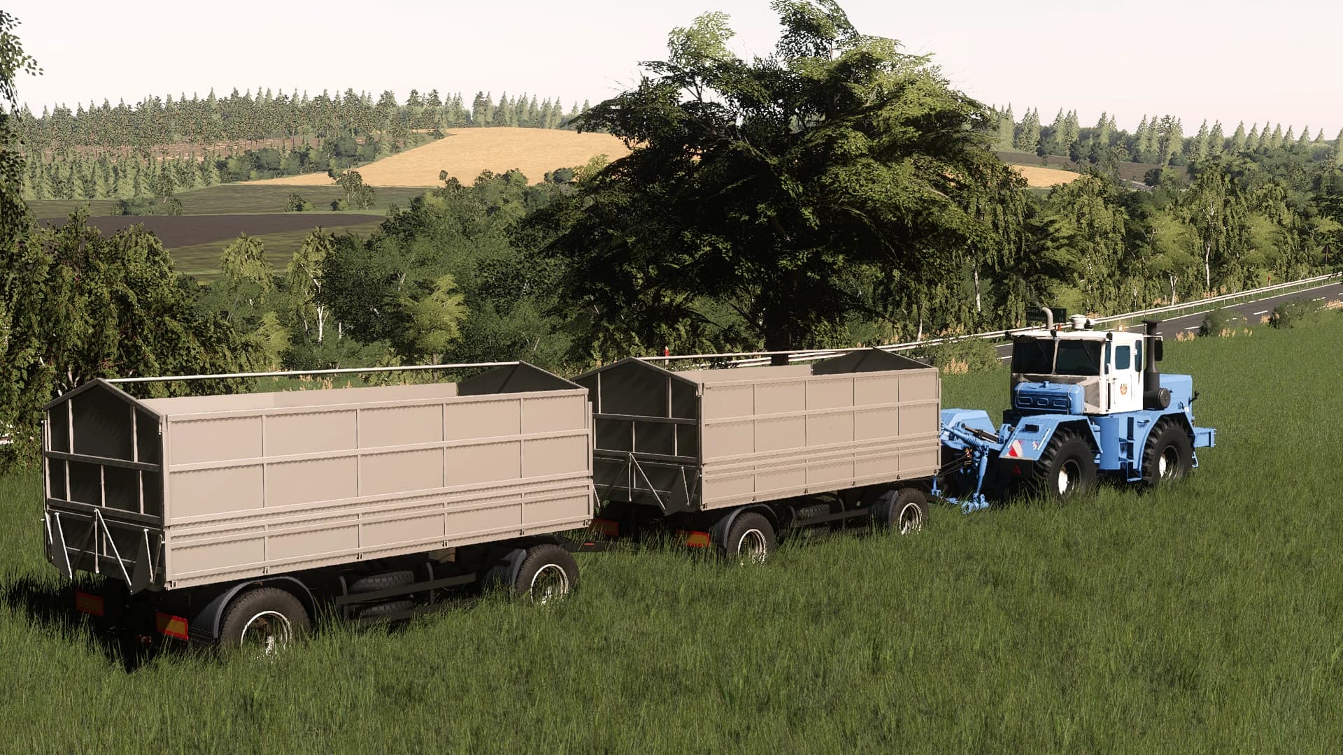LIZARD GRAIN TRAILER 4