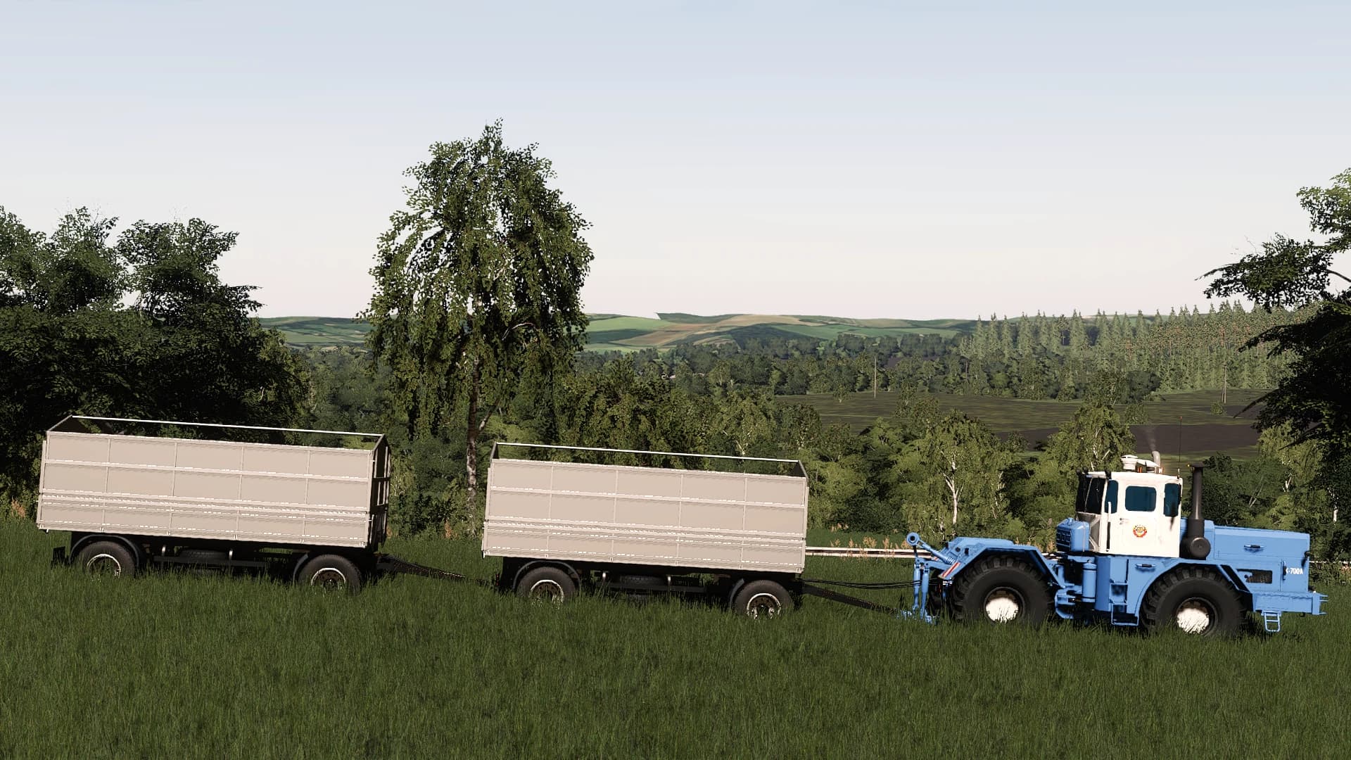 LIZARD GRAIN TRAILER 3