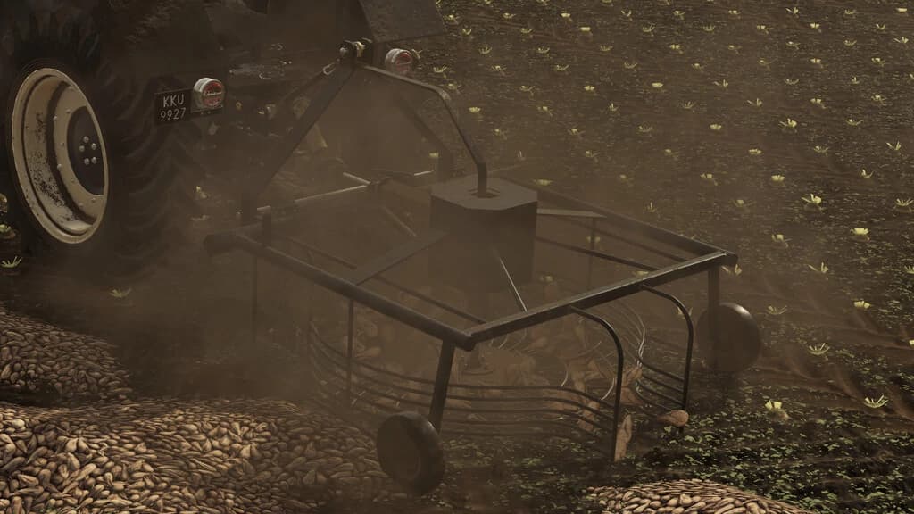 LIZARD KOP 1.0M 3