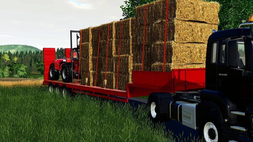 LIZARD LOW LOADER 3