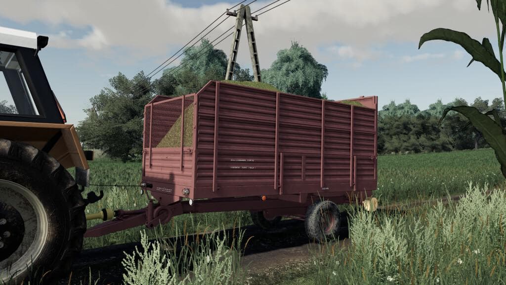 LIZARD N219/5