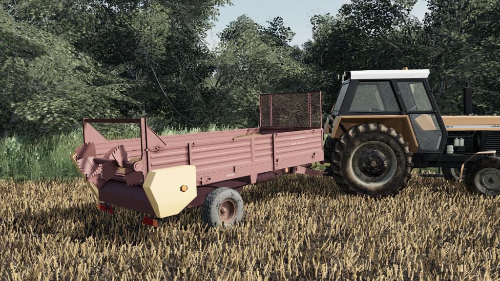 LIZARD N219/5 3