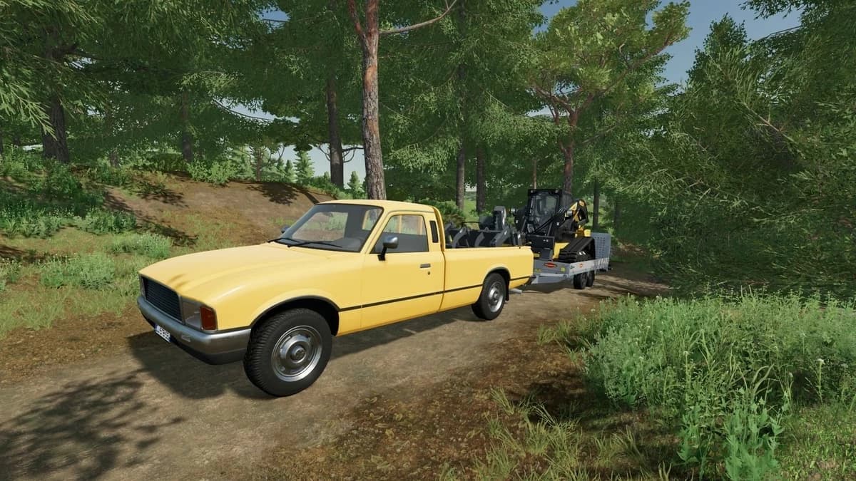 LIZARD PICKUP 1978 3