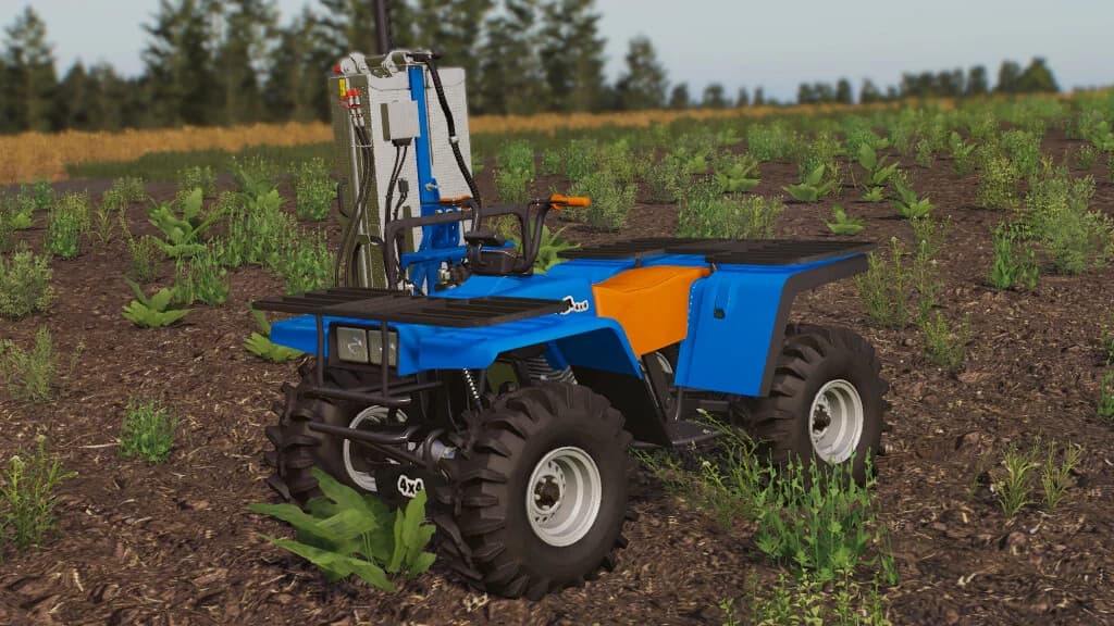 LIZARD QUAD BEAR 350 4X4 3