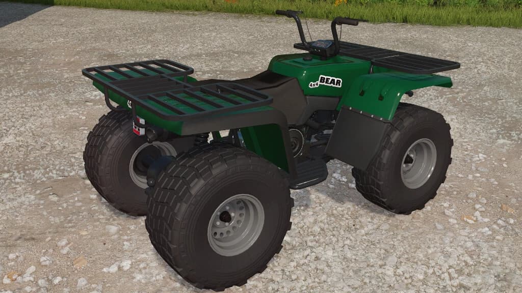 LIZARD QUAD BEAR 3