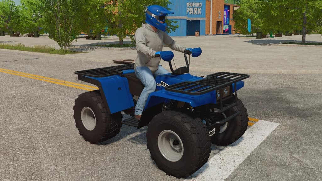LIZARD QUAD BEAR 2