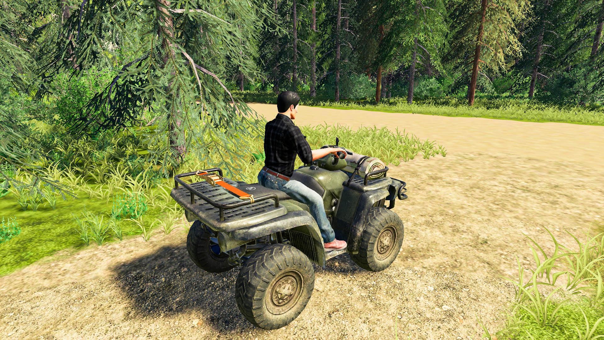 LIZARD QUAD BIKE 2