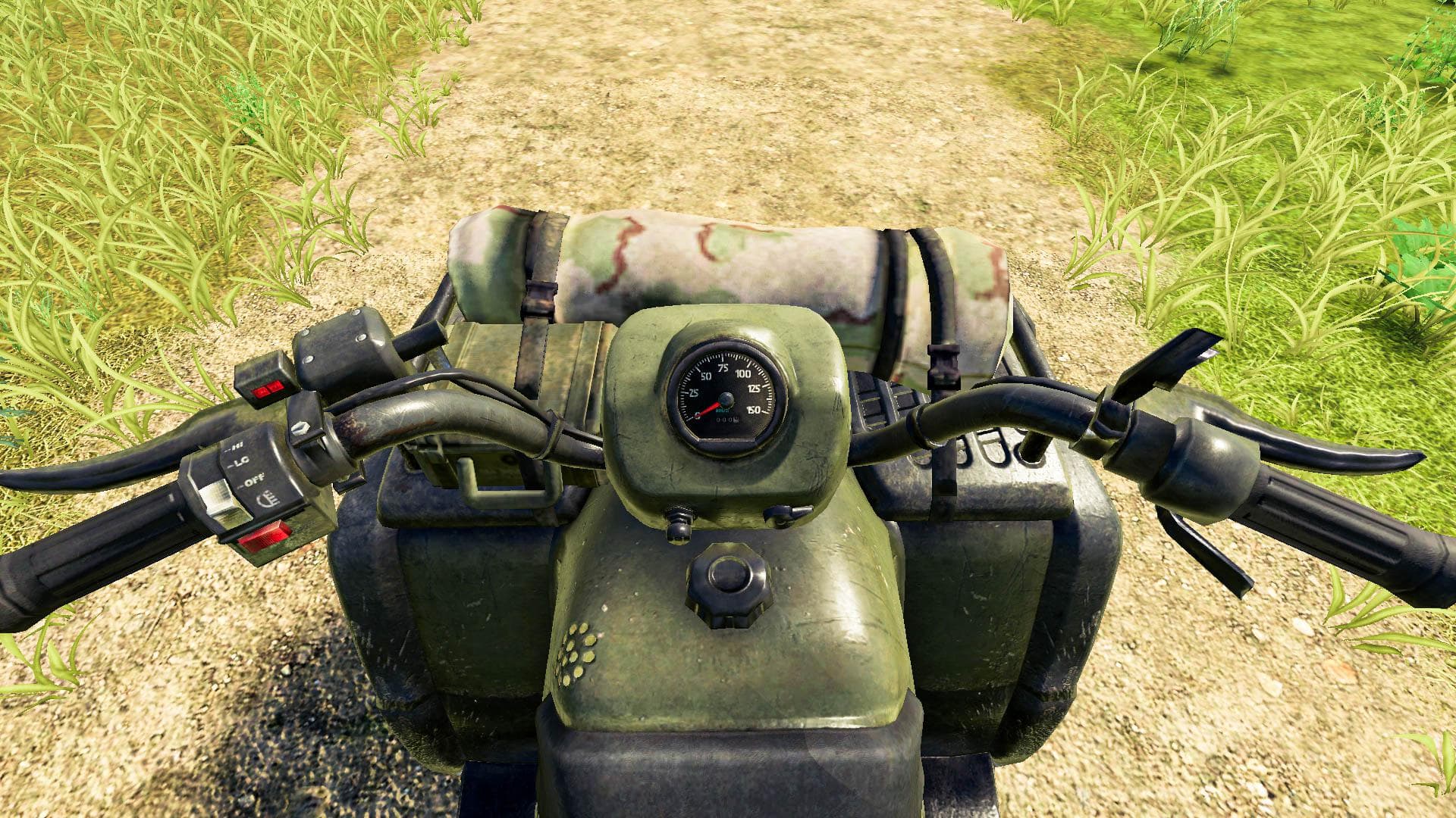 LIZARD QUAD BIKE