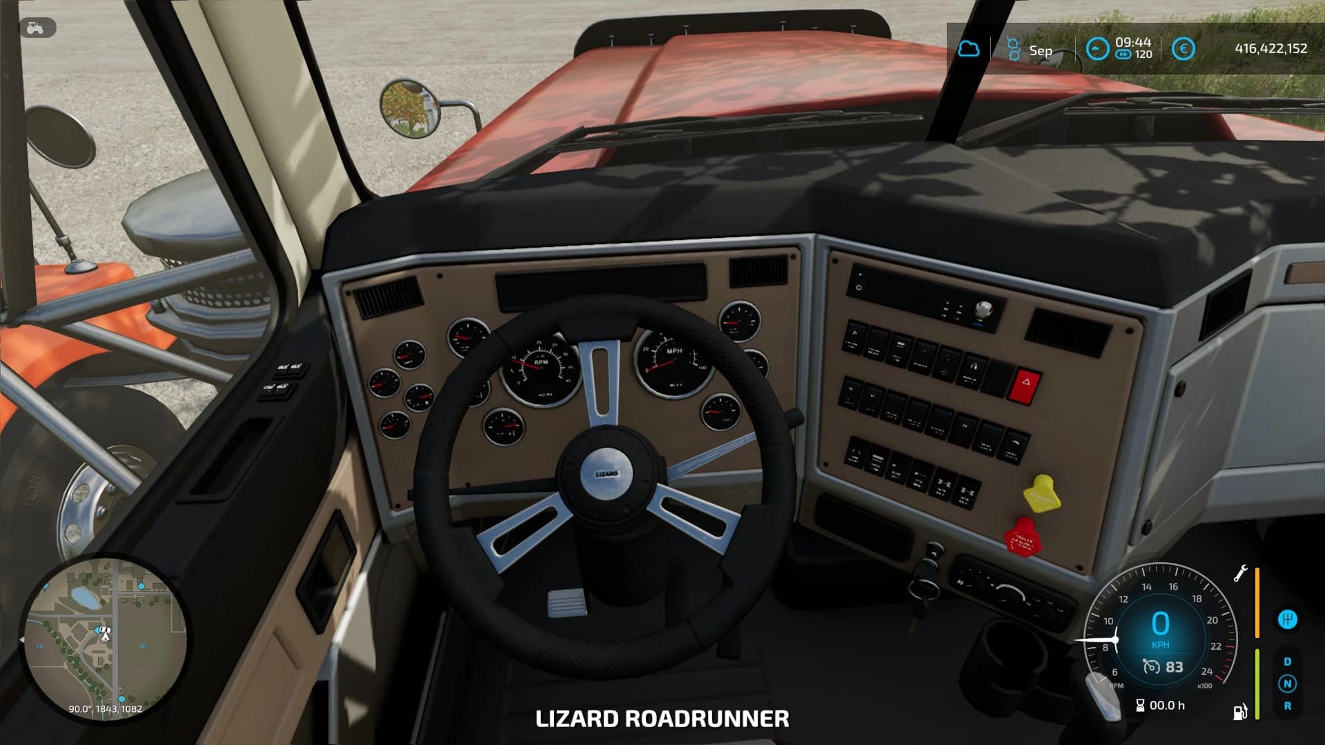 LIZARD ROADRUNNER
