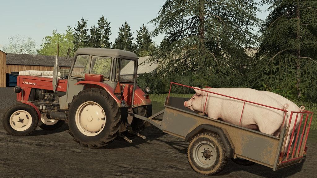 LIZARD SAM 600L 4