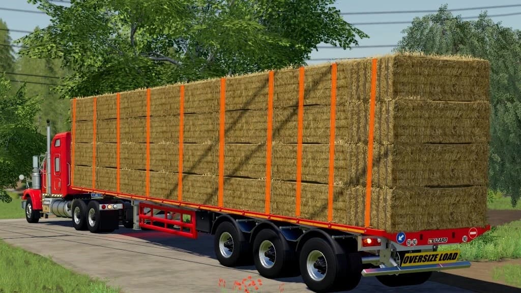 LIZARD SEMI BALE 50000 2