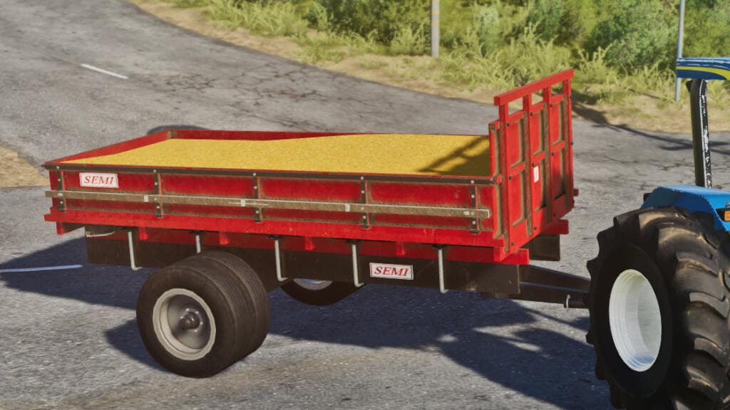 LIZARD SEMI GRANEL 10000 2