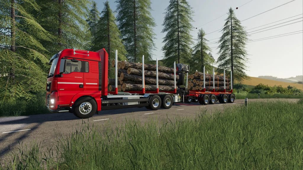 LIZARD SHORT TIMBER TRAILER 3