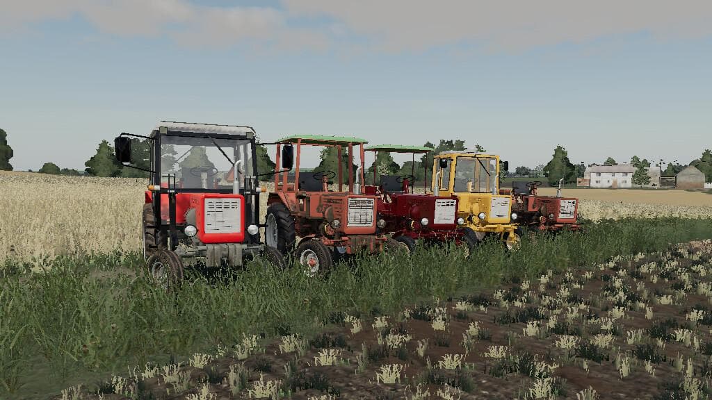 LIZARD T25 3