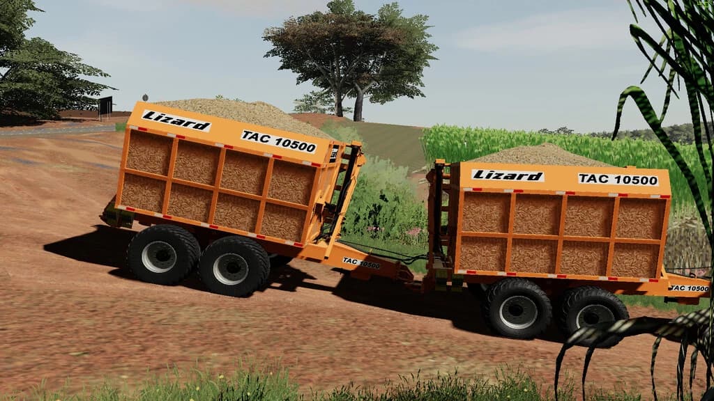 LIZARD TAC 10500 4