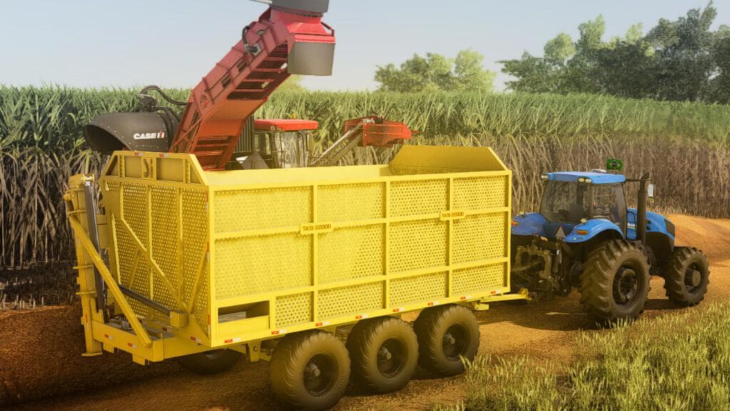 LIZARD TASI 22T 5