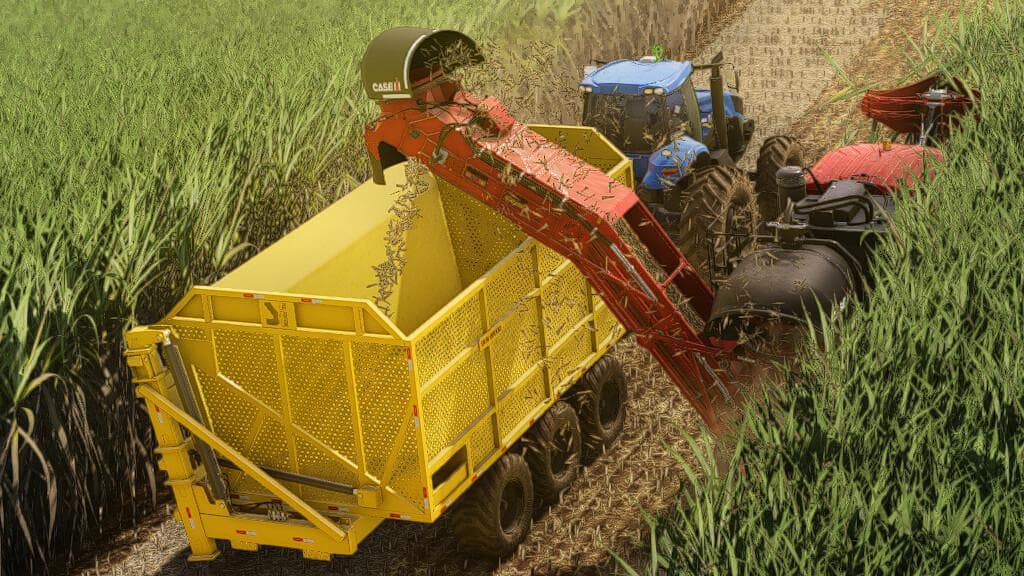 LIZARD TASI 22T 4