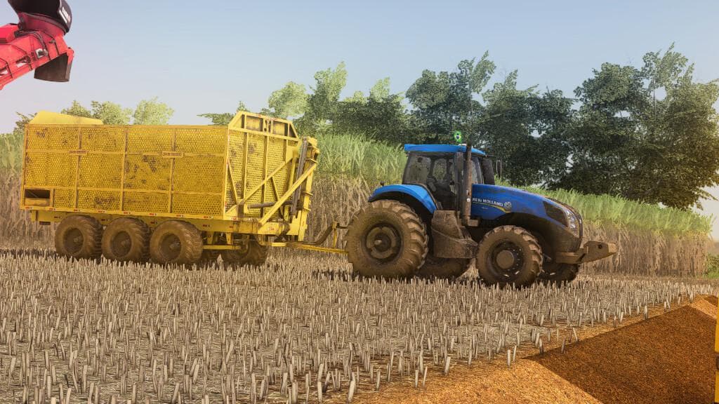 LIZARD TASI 22T 2