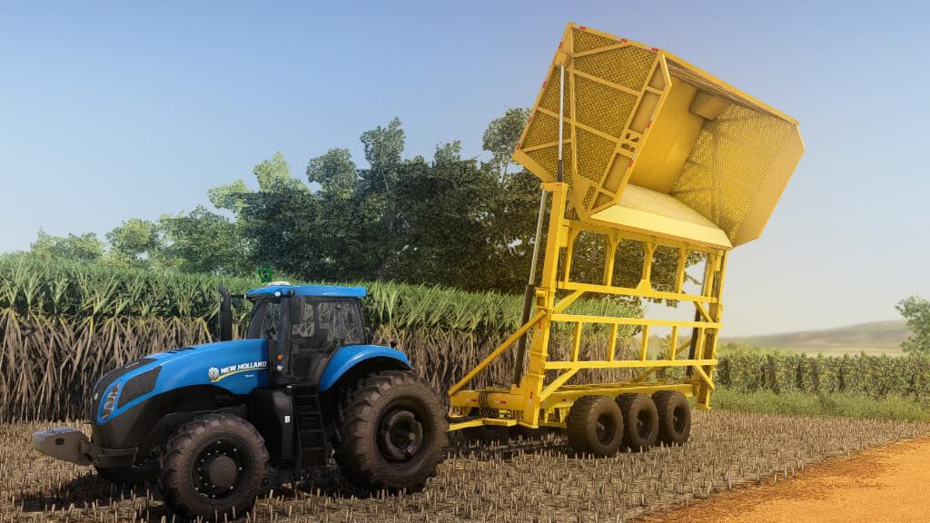 LIZARD TASI 22T