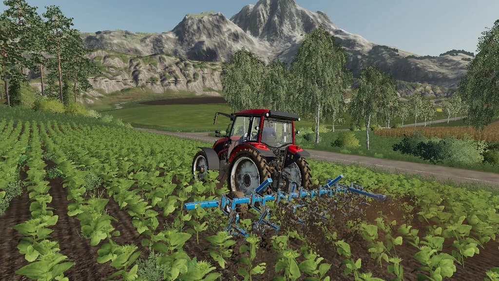 LIZARD WEEDER 5