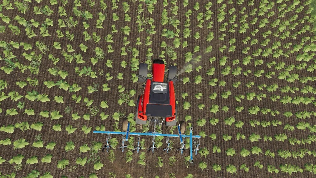 LIZARD WEEDER