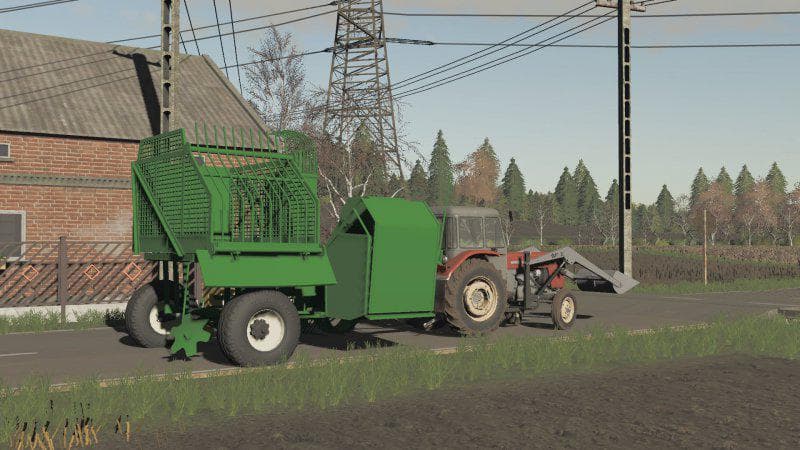 LIZARD Z 413 3