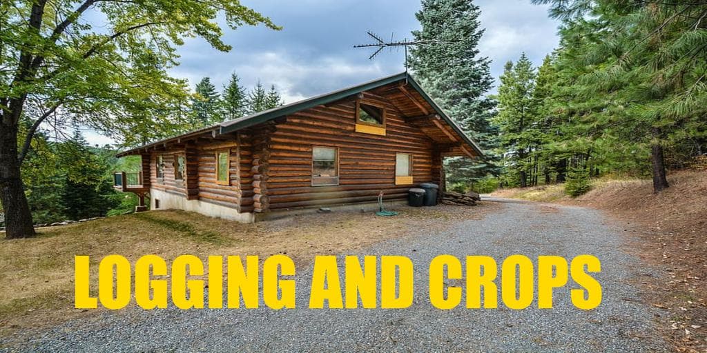 LOGGING AND CROPS 4