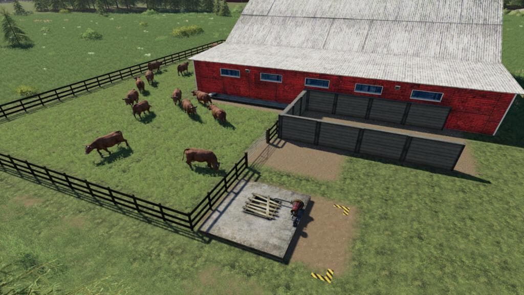 LONE OAK COW HUSBANDRY 4