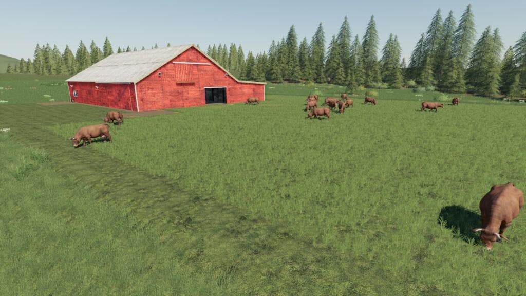 LONE OAK COW HUSBANDRY 2