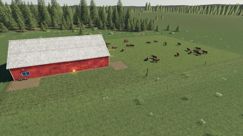 LONE OAK COW HUSBANDRY 3