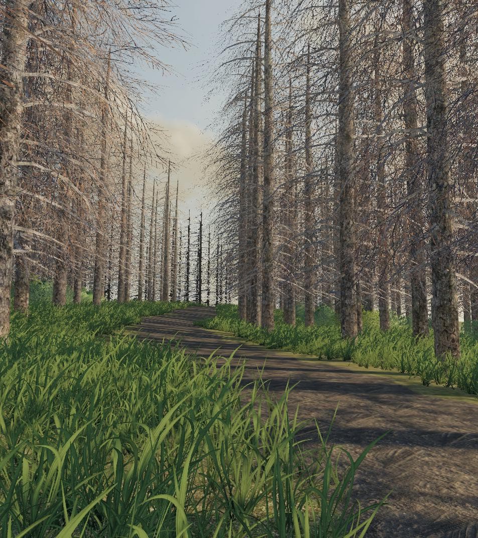 LOST ISLAND 4