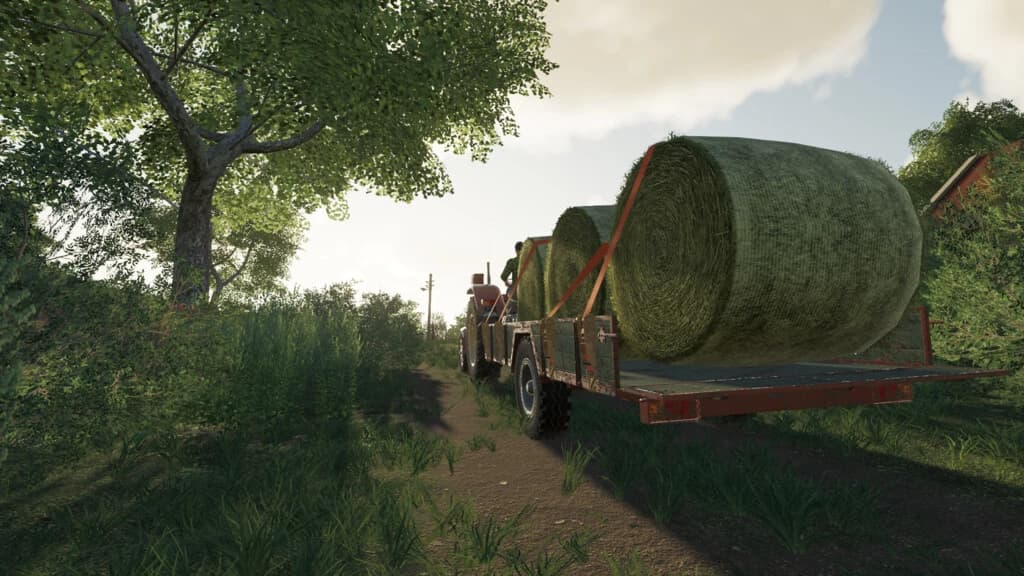 LOW TRAILER AND BALE TRAILER 4
