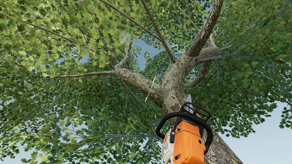 LUMBERJACK 5