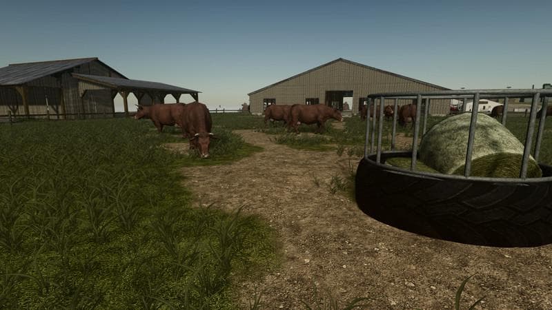 Large Cattle Barn