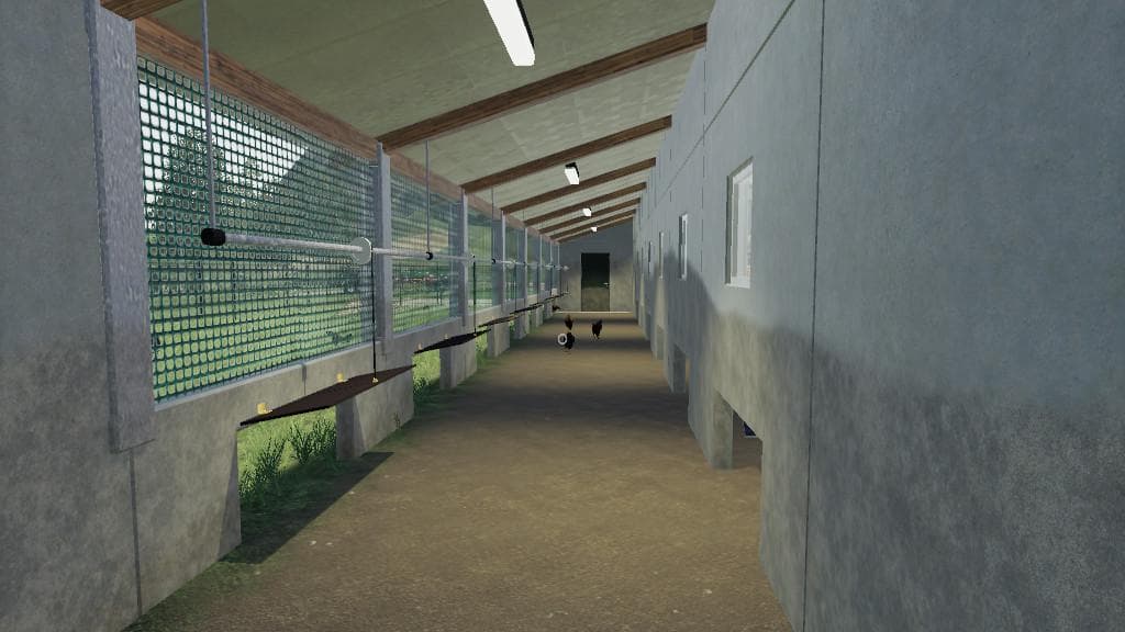Laying Henhouse 3