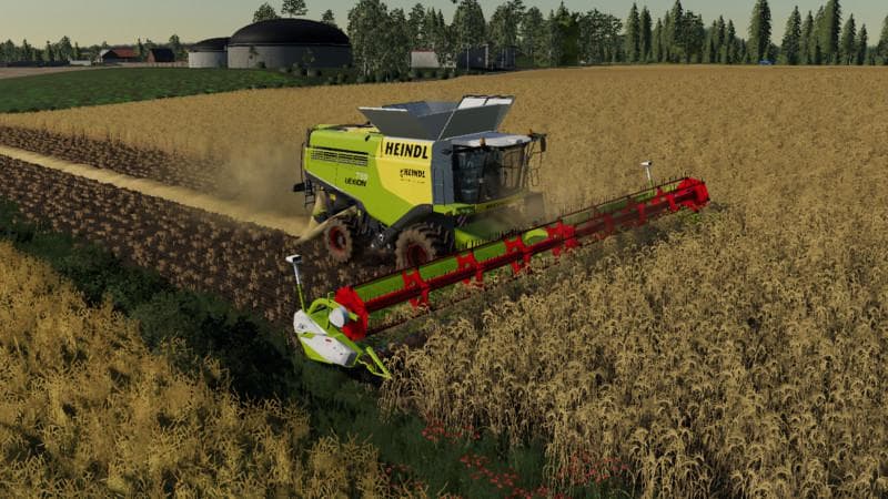 Lexion Heindl Edition 2