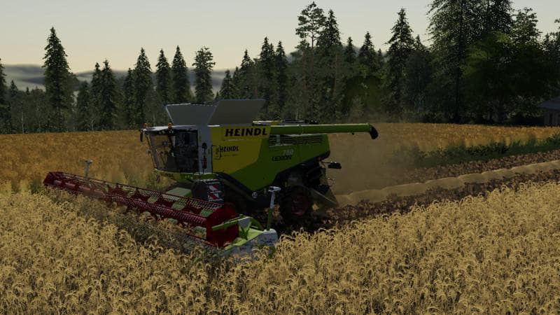 Lexion Heindl Edition
