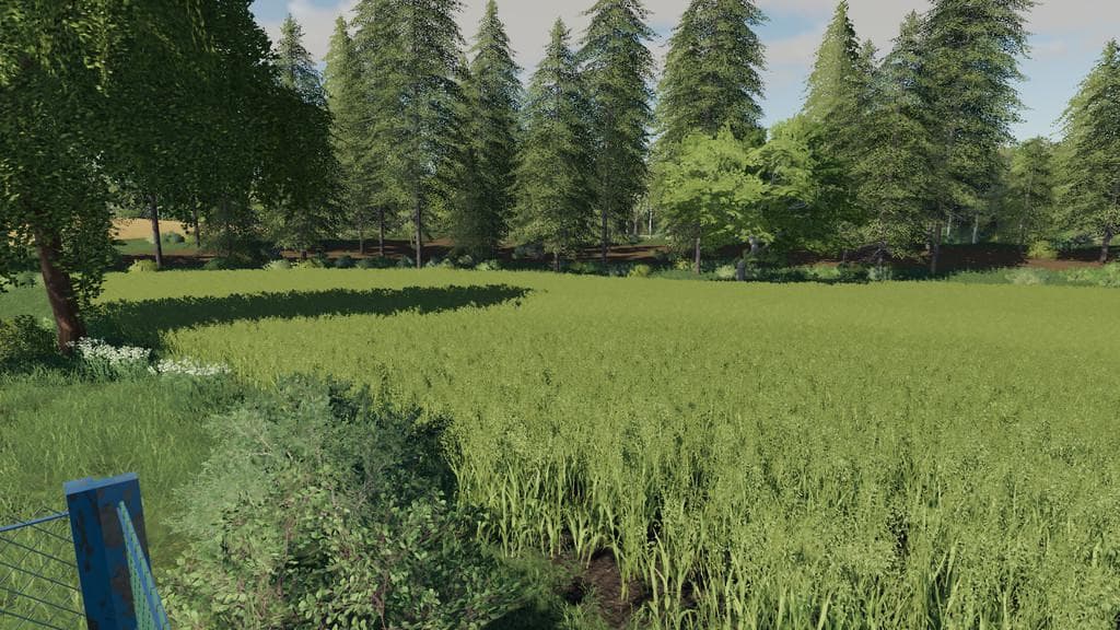 Lipinki Map 5