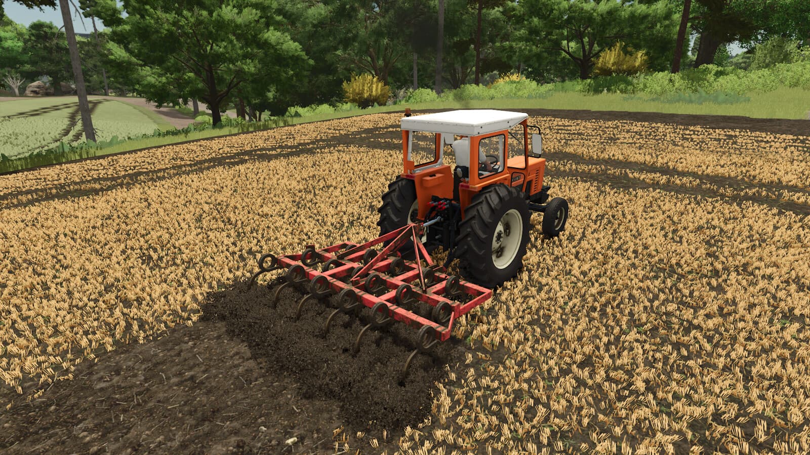 Lizard Tiller 17 2
