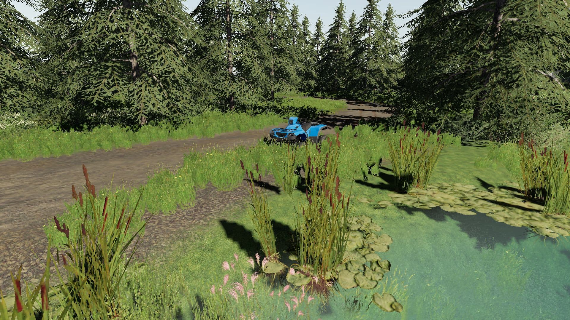 Lizard Quad