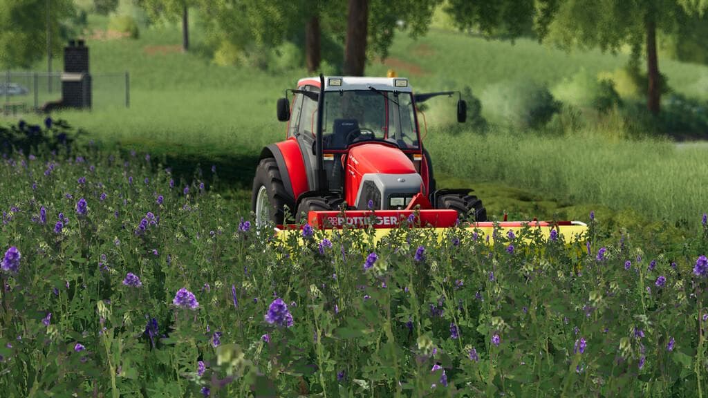 MAIZEPLUS FORAGE EXTENSION 3