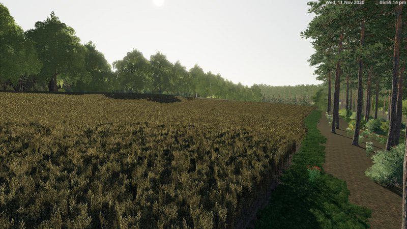 MAJSTROWICE MAP 3