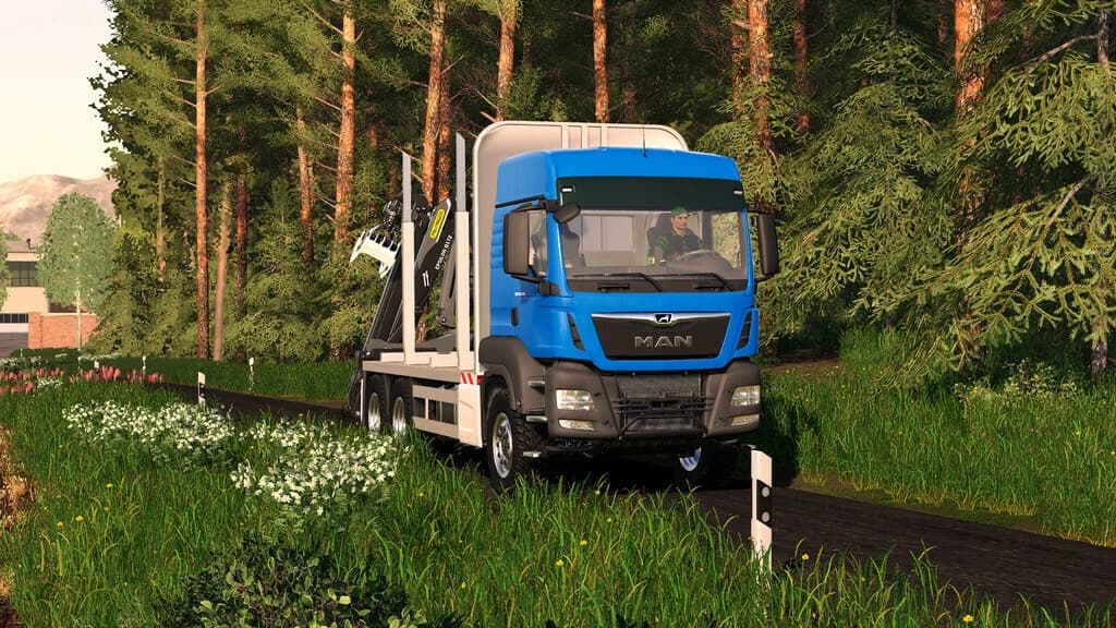MAN TGS 33.500 Timber 4