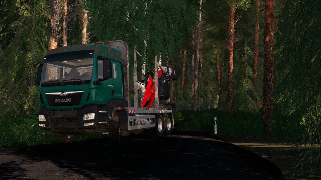 MAN TGS 33.500 Timber 3