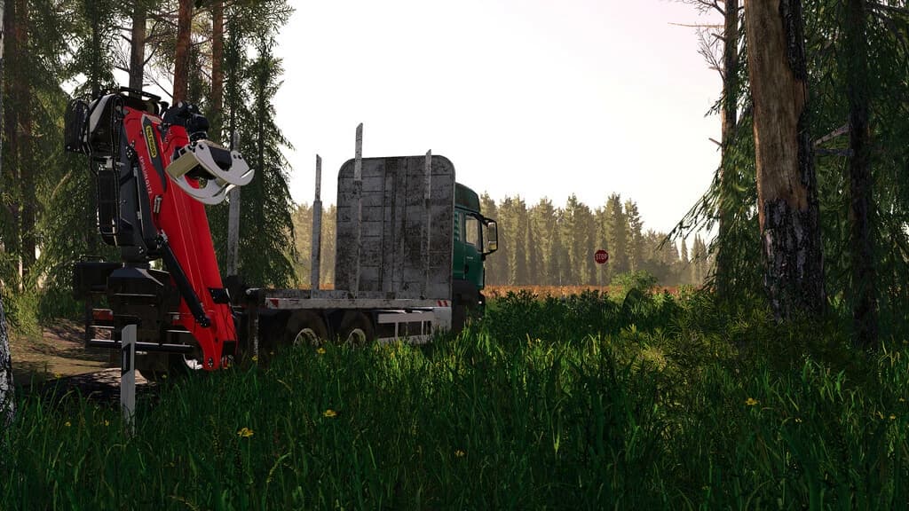 MAN TGS 33.500 Timber 2