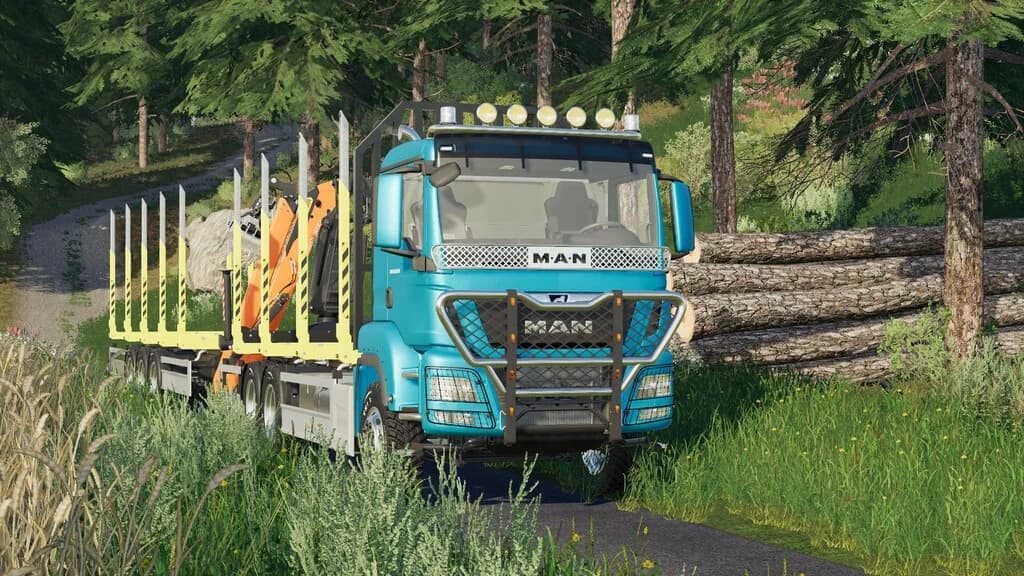 MAN TGS SHORTWOOD 3