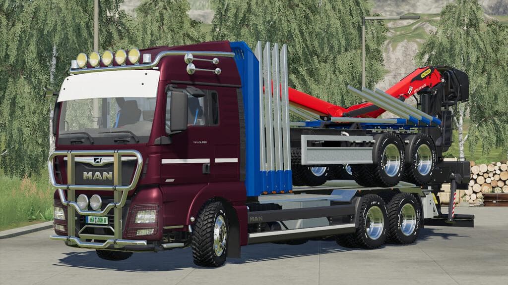 MAN TGX FOREST SPECIAL 5