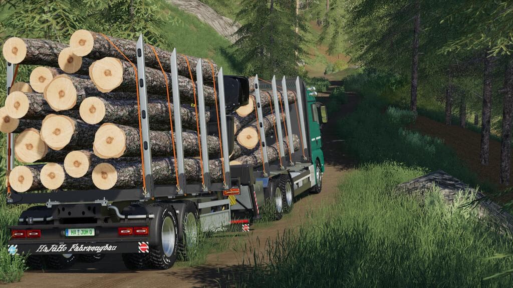 MAN TGX FOREST SPECIAL 3
