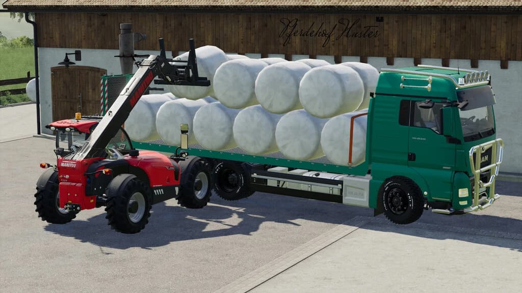 MAN TGX TRANSPORTER 3